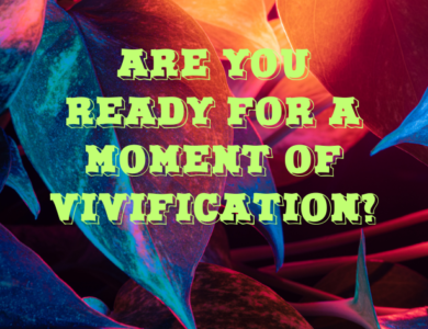 are you ready for a moment of vivification