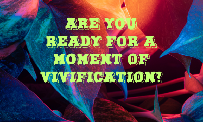 are you ready for a moment of vivification