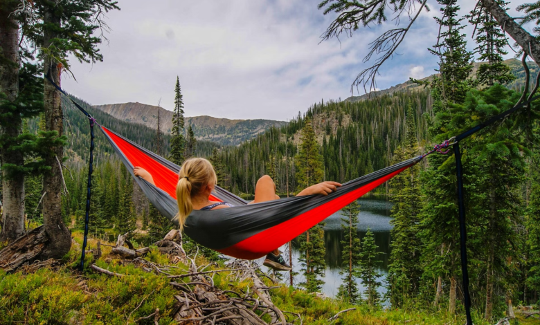 https://kwhammocks.com/collections/large-hammock-chairs-48-inch